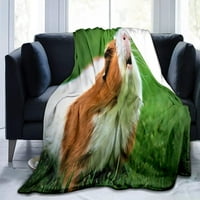 Pokrivač kraljevske veličine slatki životinje uzorak za krevet kauč lagani topli super mekani dobar poklon Gvineja svinjska flannela baca