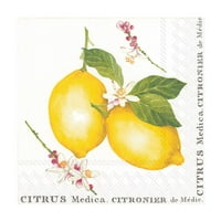 Set malog limunskog citrusa Medica paket salveta