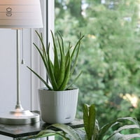 Lončić za sočne biljke Plastični kružni lonac mali zeleni cvjetni lonac za uređenje kućnog ureda