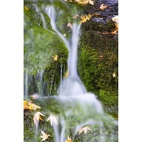 Posteranzi DPI1830299LRAGE Crystal Springs Waterfall na Oregonu Sjedinjene Američke Države Poster Print autor Craig Tuttle, - Veliki