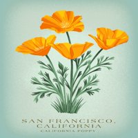 San Francisco, Kalifornija, Vintage Flora, Serija država, Kalifornija Poppy