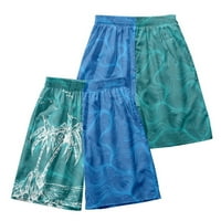 Aaiaymet muške kupaće ploče za kupanje kratke hlače Holiday Havajski šarene prugaste kratke hlače, plavi 3xl