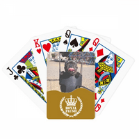 Buldog PET fotografija slika Royal Flush Poker igra igraći karton