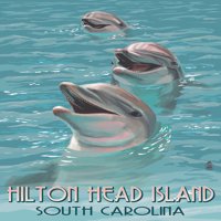 Hilton Head Island, Južna Karolina, Delfini