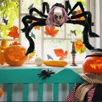 Dezed simulacija Spider Clearence Halloween Simulacija lubanja Big Spider Plish Spider Ornament ukras za Halloween Multicolor
