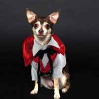 Odjeća za Halloween za pse Funky PET kostimi odijelo modne kućne ljubimce za psa