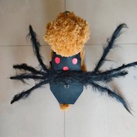Ušteda za halloween Dekoracije, pas Halloween Kostimi - Spider krila za štenad Psi, psi Halloween Dekoracija L
