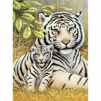 Junior mala boja po broju komplet 8.75''x11.75 '' - Bijeli tiger par