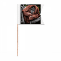 M Animal Orang-utan zastava za zube za zastave za označavanje za zabavu za zabavu