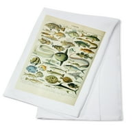 Dekorativni čaj ručnik, pregača riba, a, vintage knjižica, Adolphe Millot Artwork, Unisex, Podesivi, organski pamuk