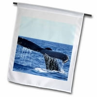 3drose grbavi kitovi - vrtna zastava, prema