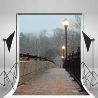 5x7ft Fotografija pozadina Božićaxmas zimski snijeg Drevni most semafori semafori Snježne pahulje Foto