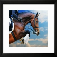 Zaljev konj u skakanju na showu protiv plavog neba uokvirenog otiska Zidne umjetnosti Pirita prodaje se od strane Art.com