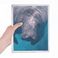 Morski organizam Fotografija životinjske slike bilježnice Labavi dnevnik Repucava časopis za punjenje