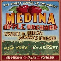 Medina, New York, Apple Orchard Vintage znak