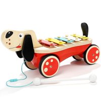 Svijetlo Pull i ksilofonske igračke i igračke za učenje - Predškolska ustanova