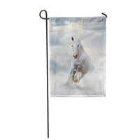 Sivi konj bijeli starlion Silver Heaven Dramatični snijeg Oblaci vrtna zastava ukrasna zastava kuće Baner
